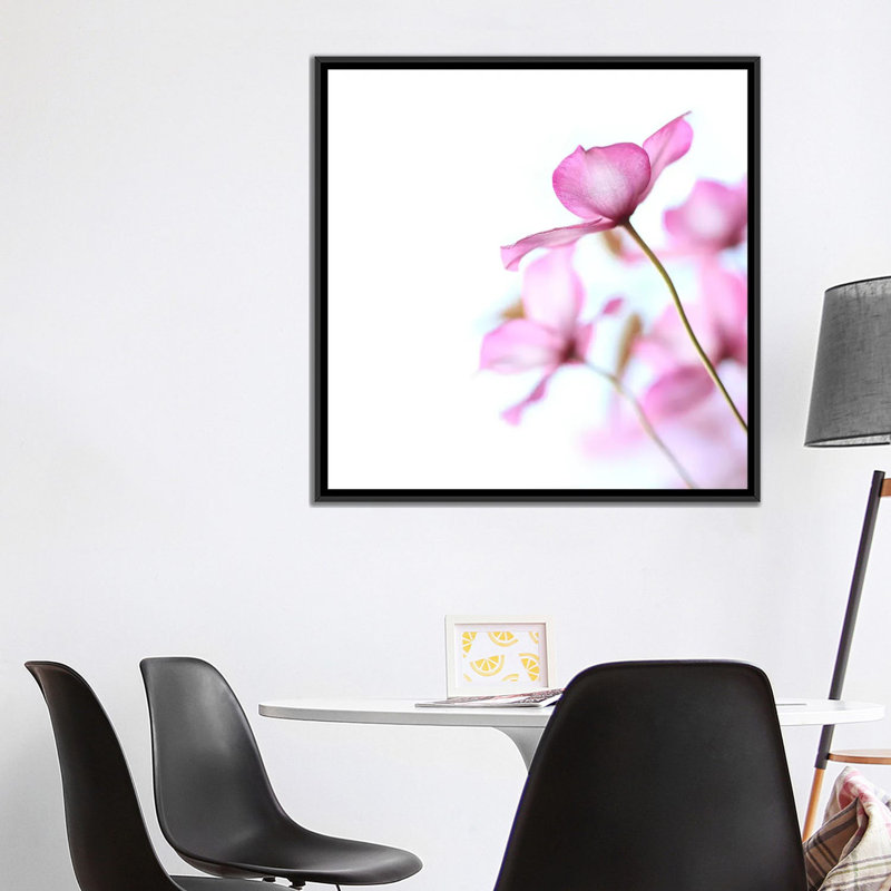 Clematis rose, impression sur toile, H 18 po x l 18 po x P 1,5 po, Toile encadrée noire, Pas de tapis