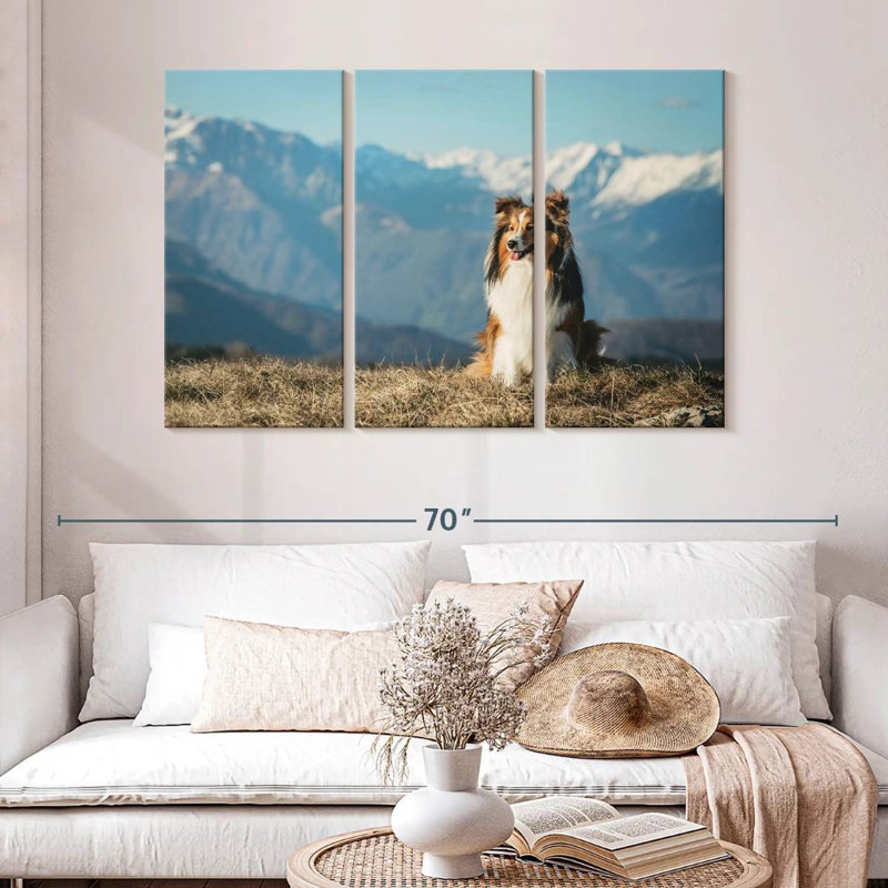 Brampt Shetland Sheepdog, 32" H x 50" W