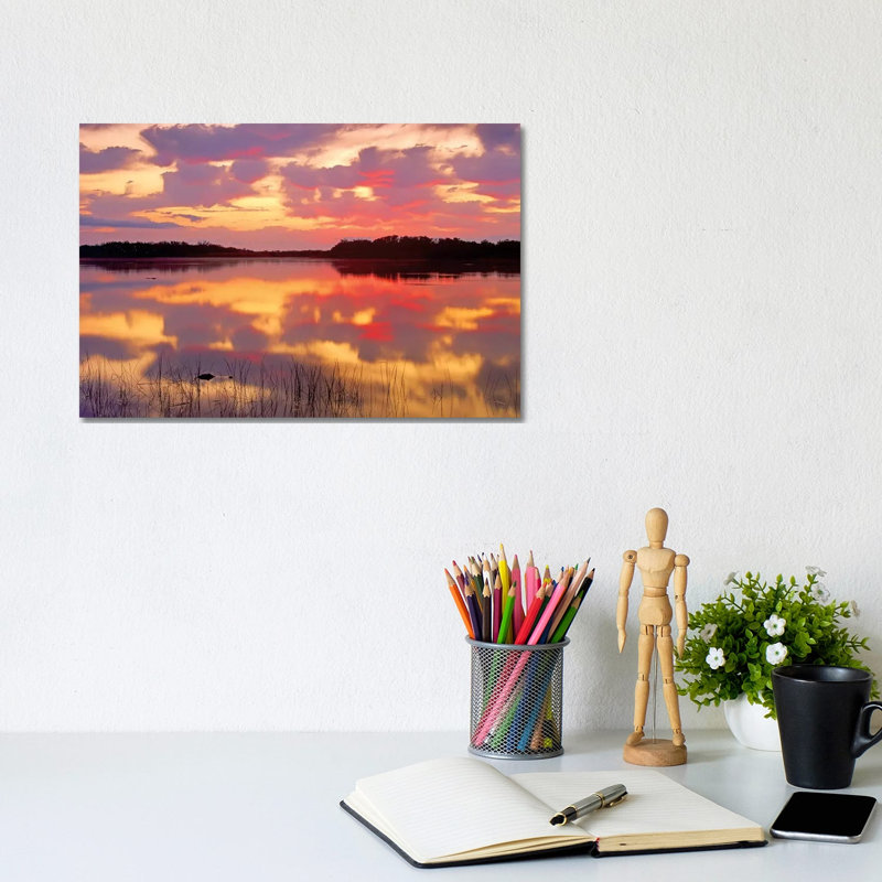 American Alligator Surfacing In Nine Mile Pond At Sunrise by Tim Fitzharris - Wrapped Canvas Print, 20.32 cm H x 30.48 cm W