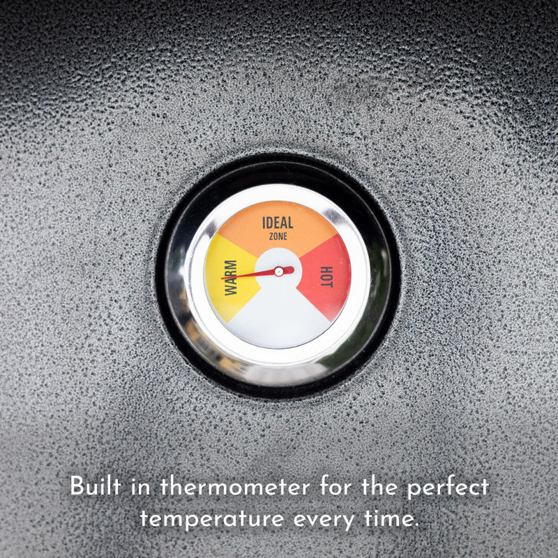 The Party Aisle Stainless Steel Built-In Natural Gas Pizza Oven