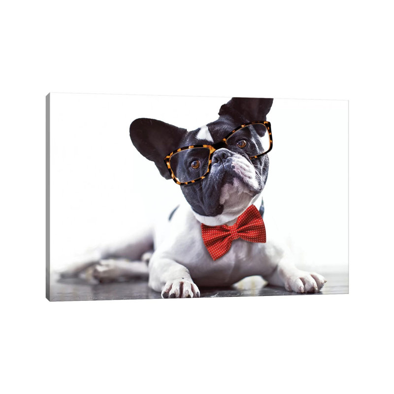 Charlie Bow Tie by Karen Burke - Wrapped Canvas Print, 66.04 cm H x 45.72 cm W