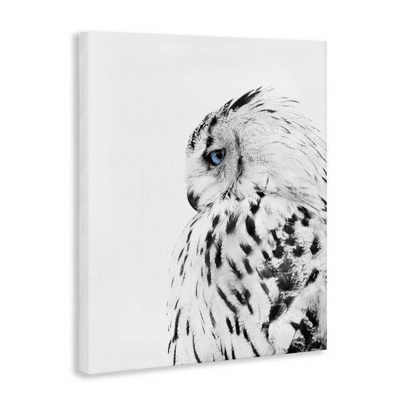 «Snow Owl», plumes blanches aux yeux bleus par Design Fabrikken - impression, H 20 po x l 16 po