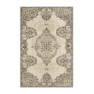 Oriental Indoor Rug