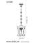 Muehlebach 1 - Light Black/Gold Lantern Pendant