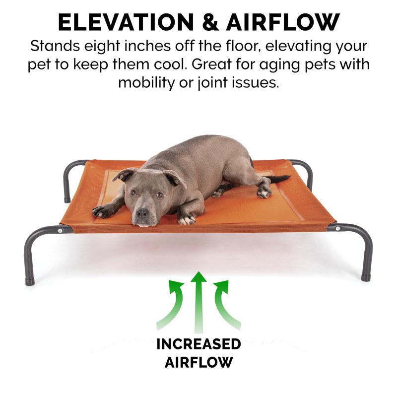 Small Terracotta Red Outdoor Elevated Pet Cot
