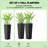 Set Of 2 Flower Pots,Tall Planters,Flower Boxs-705490391