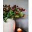 Artificial Montana Rose Hip 23.5"-1231080859-1231080858