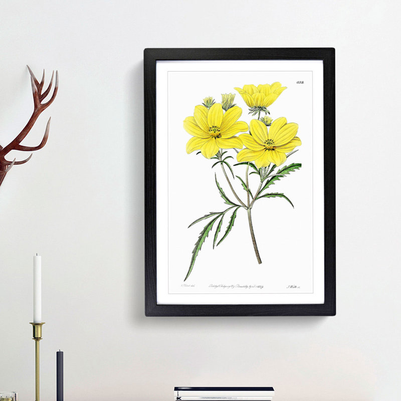 Yellow Tickseed Flowers - Framed Print, 48cm H x 36cm W x 2cm D, Black Framed
