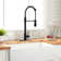 RENIST Spring Pull Down Kitchen Faucet