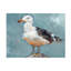 Jennifer Paxton Parker, «Seagull Stance II», art sur toile-1495181474