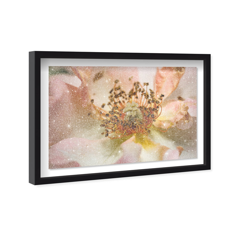 Floral Core II Shadowbox, imprimé floral et botanique avec reflets de poussière de diamant, par Oliver Gal, 21.5"H x 31.5"W
