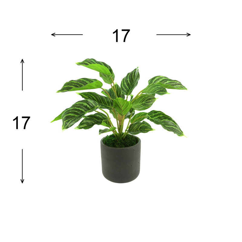 17'' Faux Foliage Plant in Fiberstone Pot