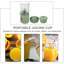 Presse-agrumes électrique facile à nettoyer à grand volume avec bec verseur facile, 20 oz pour oranges, citrons, limes, pamplemousses, vert