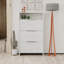 18 Pair Shoe Storage Cabinet