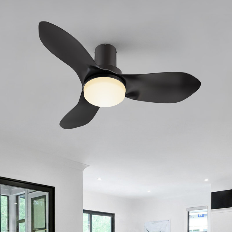 Ventilateur de plafond standard à 36 pales de 36 po à DEL avec télécommande et ensemble d'éclairage inclus, Noir