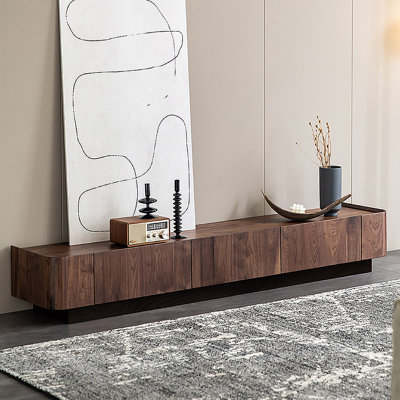Meuble télé moderne et simple avec rangement