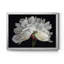 Éclairage du matin - Reproduction de photo sur toile-748523874-748523876