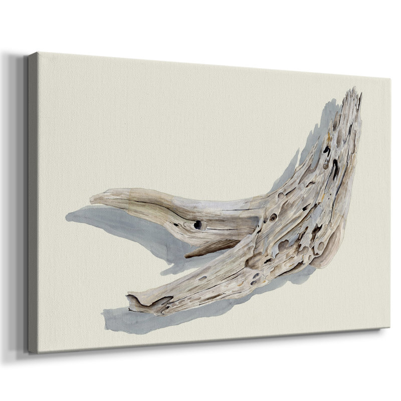 Driftwood Study III -Gallery Wrapped Cavas, 24X36