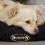 Wilton Polyester Pet Bed-1882413906-1882413911