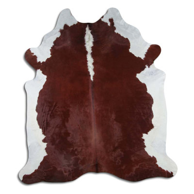 Hereford Colona
