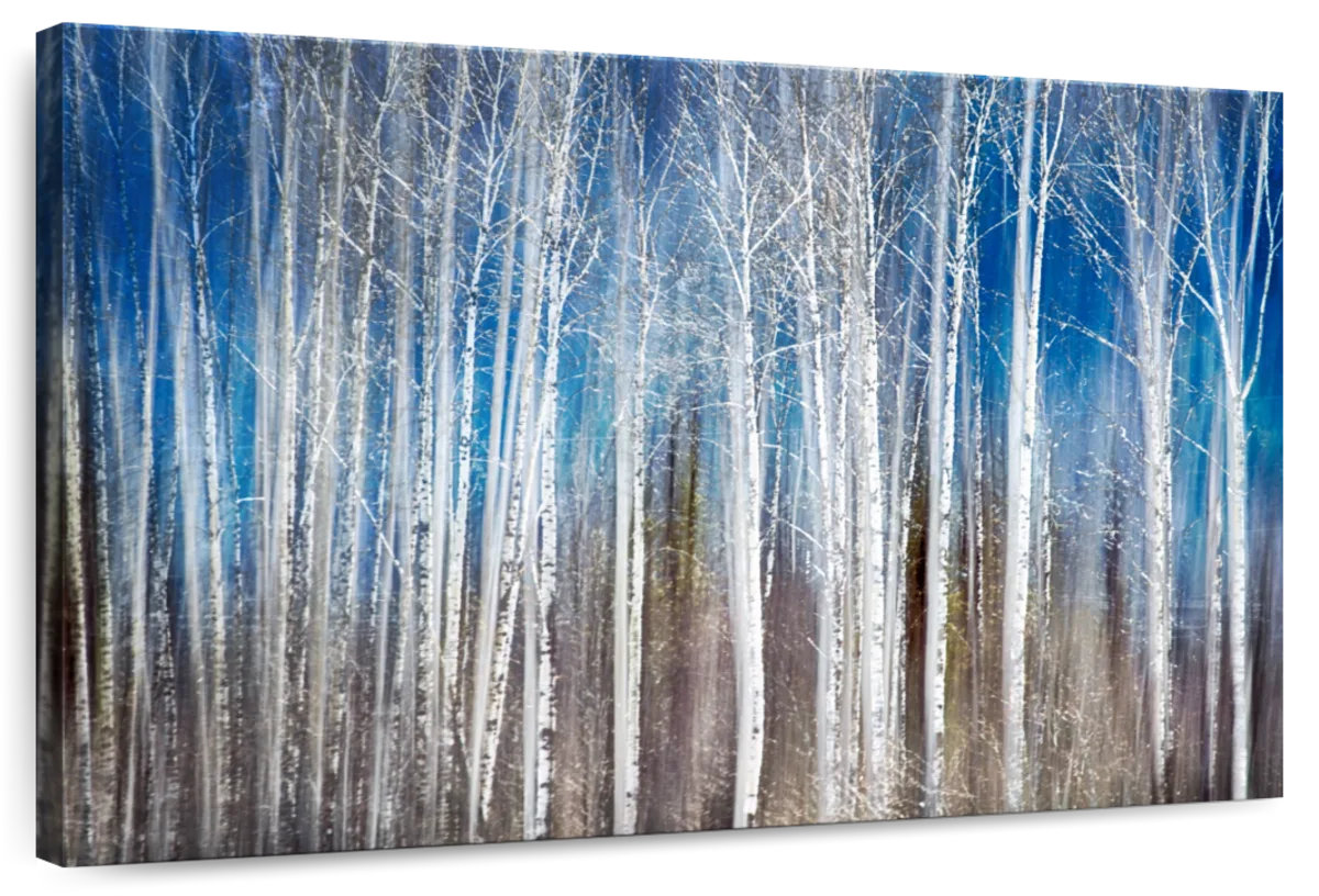 Millwood Pines Alvord Forest Birches In Spring - Wayfair Canada