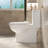 1.1/1.6 Tornado Flush Toilet With 17 - Inch Height Seat, Dual Function, Siphonic S Trap 12, Rimless Bowl, Soft Close And Semi Elongated Bowl One Piece Modern Flush, Comfort Chair Seat At 17, 1000G