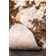 Shaped Cheever Animal Print Area Rug