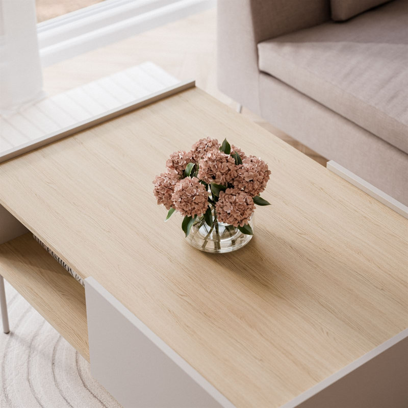 Alemar Coffee Table