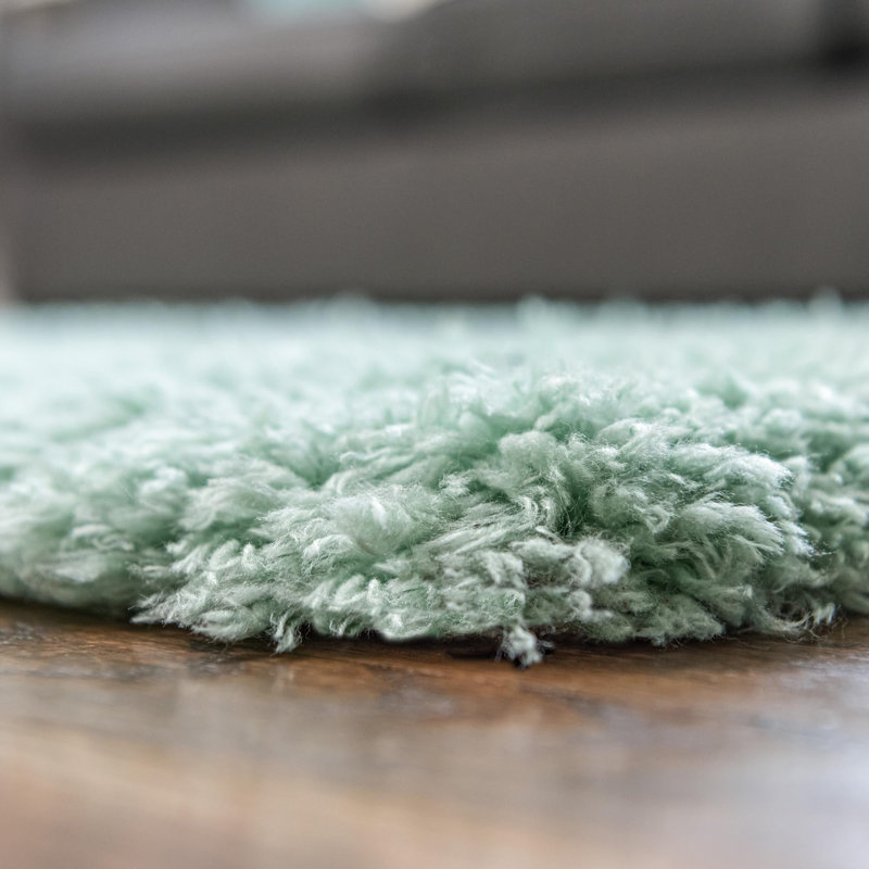 Tapis à poils longs Almanza, Rectangle 4 pi x 6 pi