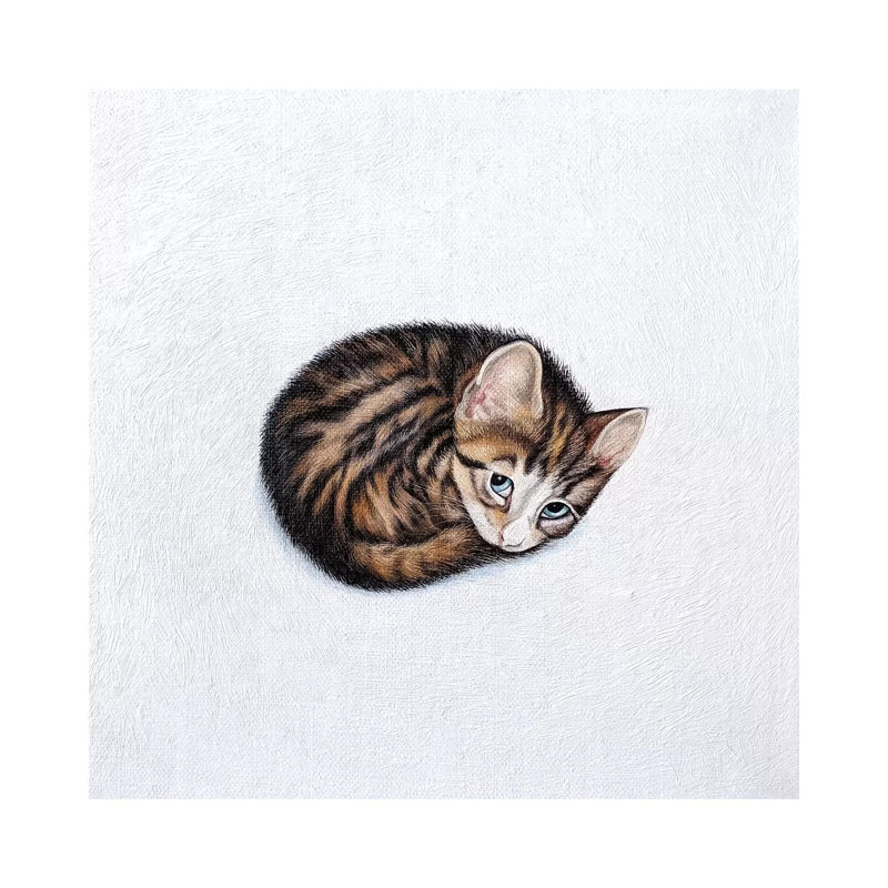 Kitkat by Vicky Mount - Painting on Canvas, Wrapped Canvas, 66.04 cm H x 66.04 cm W x 1.91 cm D