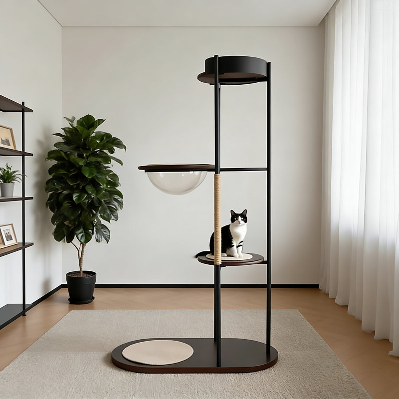 Modern and Simple Black Cat Climbing Frame