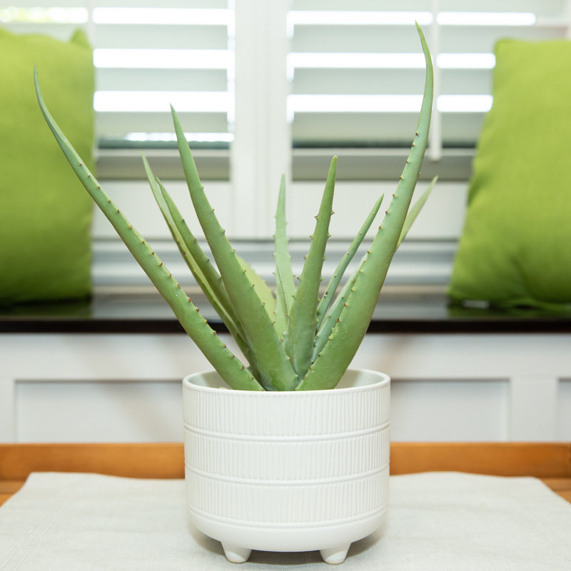 Feuillage artificiel en pot, H 14,75 po x l 8,75 po x P 8,75 po