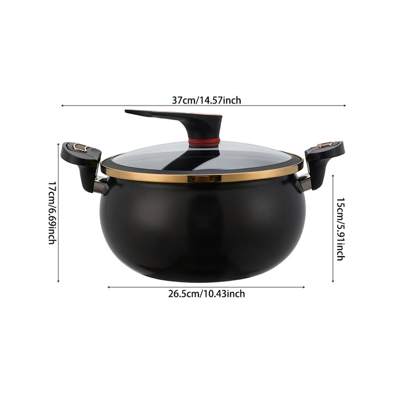 Living And Home Stock Pot, Black