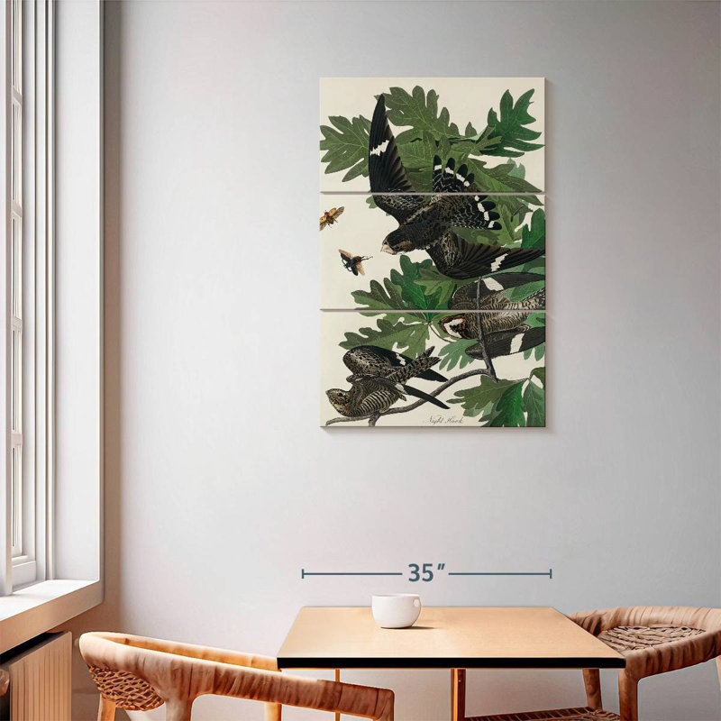 Brampt Night Hawk, 57" H x 36" W