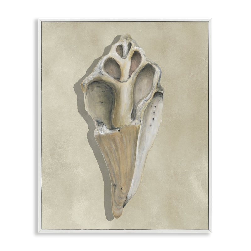Estampe numérique Broken Conch Shell, conception de Michael Willett, H 14 po x l 11 po