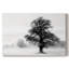 Inky Trees -Gallery Wraraped Cavas-2068968414