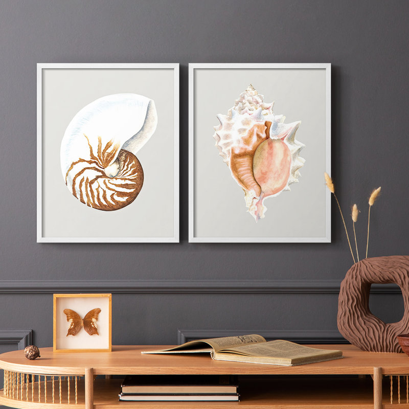 Nautilus - reproduction encadrée de qualité supérieure - prête à être accrochée - aucun clou requis - aucun clou requis