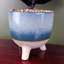 Artificial Ficus Plant in Ceramic Planter