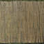 Dabria Bamboo-644526749