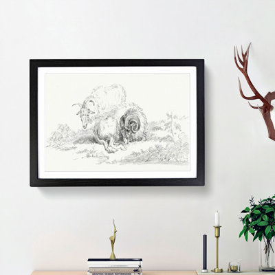 Sketch of Two Goats by Jean Bernard - Picture Frame Drawing Print