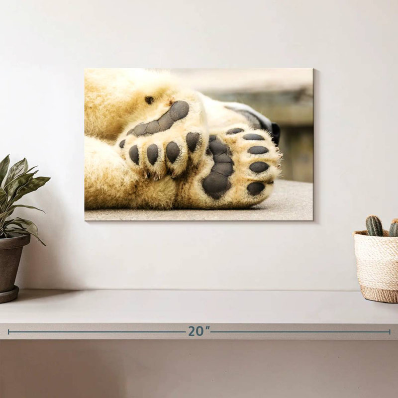 Brampt Polar Bear Paws, 8" H x 12" W
