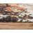Wool Abstract Indoor Rug-638003863