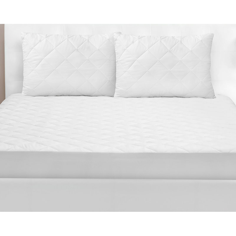 Hidalgo Fitted Mattress Protector Mattress Protector Case Pack, Twin
