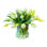 Tulipes en vase