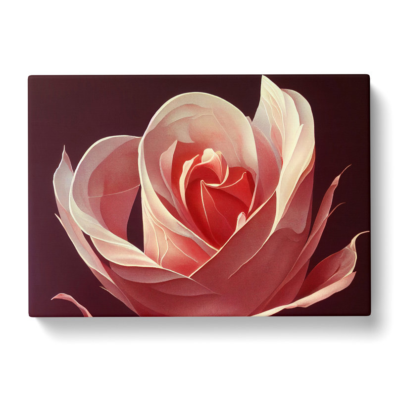 Pure Rose Flower - Wrapped Canvas, 50cm H x 76cm W x 3cm D
