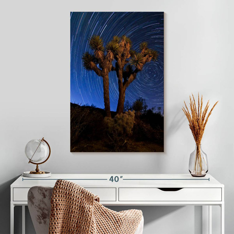 Alvord Desert Star Trail, H 30 po x l 20 po
