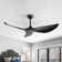 Kemp 52" 3 -ABS-Blade Propeller Modern Ceiling Fans no Light and with Remote Control