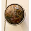 Mushroom Knob-1048656673