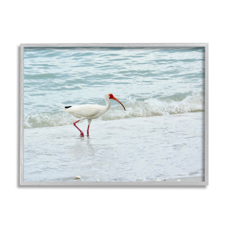 «Bird Stepping Sea Waves Splash», estampe numérique par Jairo Rodriguez, H 11 po x l 14 po x P 1,5 po