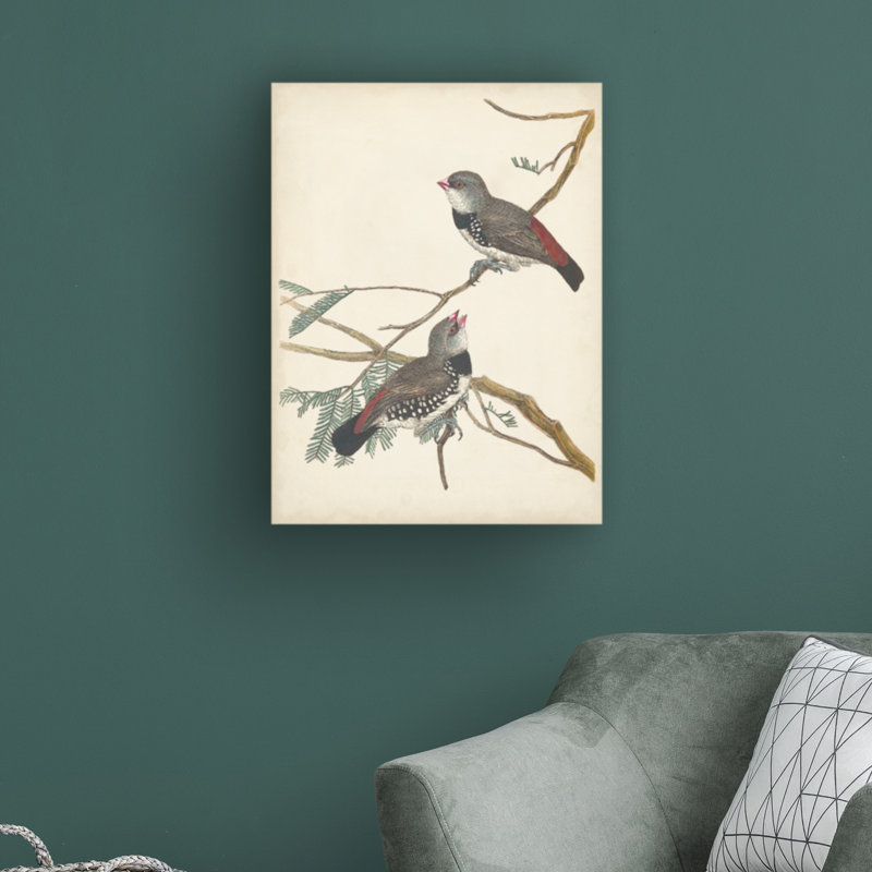 «Graceful Birds I» par Vision Studio - peinture sur toile tendue, H 24 po x l 18 po x P 2 po